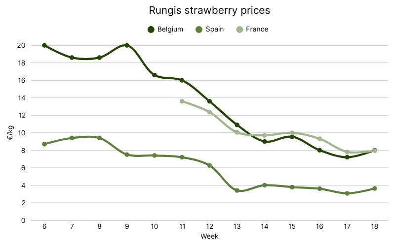 French Rungis wholesale strawberry prices in Rungis (1).jpg